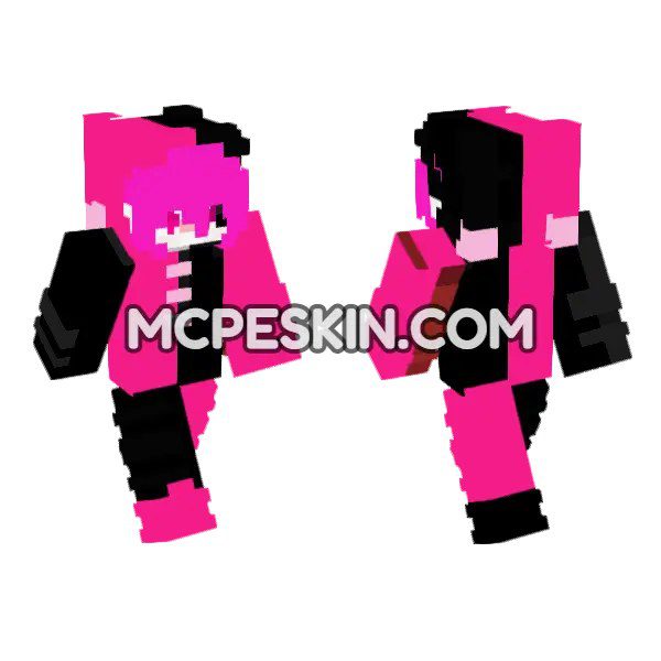 Pink and Black Bear