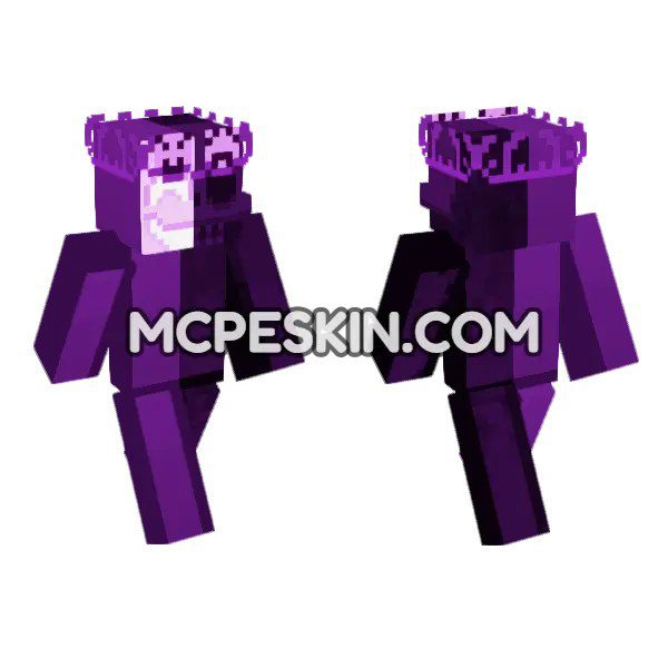 Purple Striped Hoodie