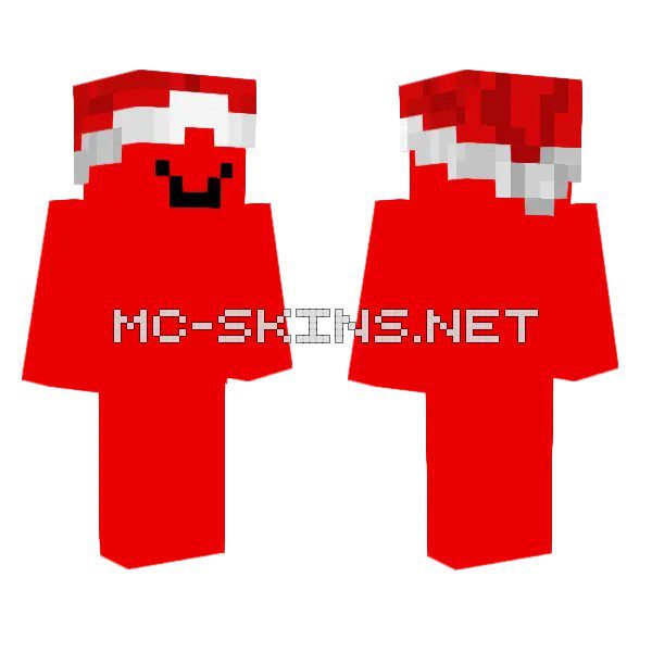 Red Santa Hat