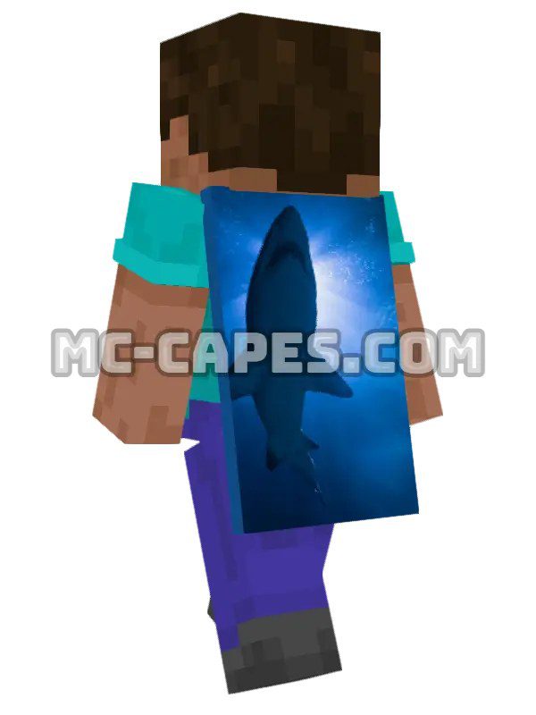 Shark Silhouette