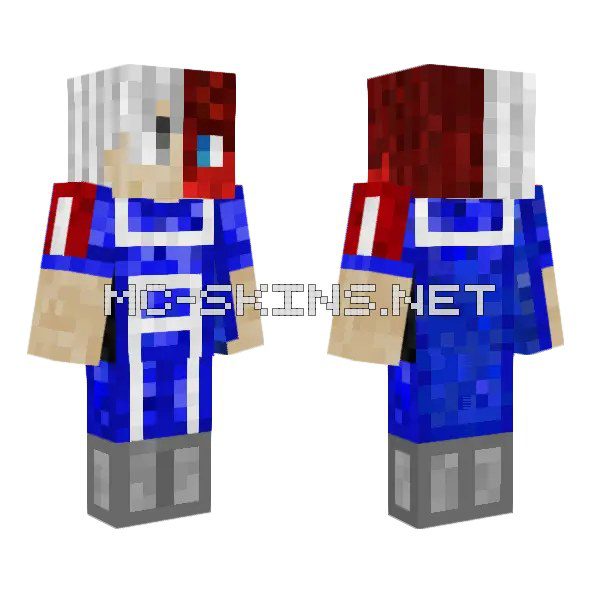 Shoto Todoroki