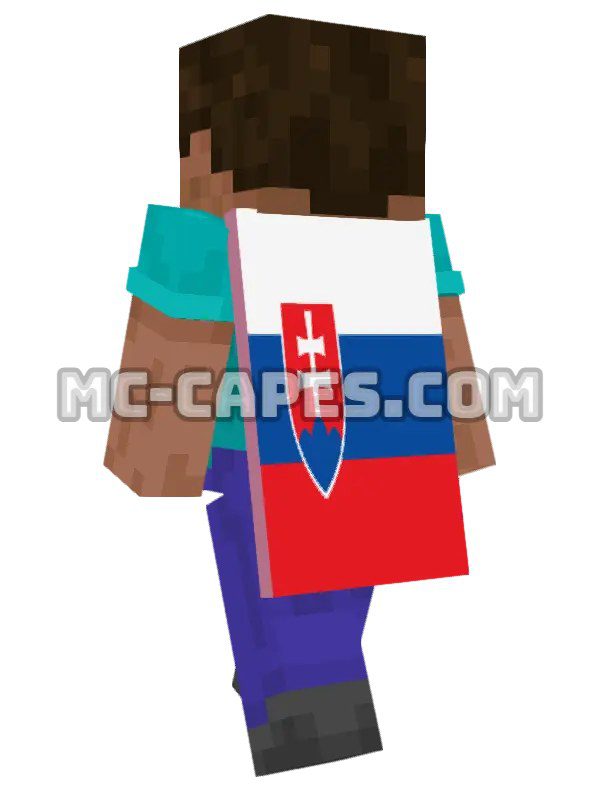 Slovakia Flag