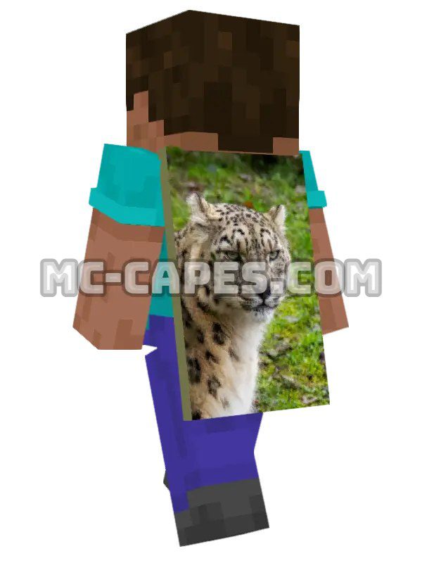 Snow Leopard