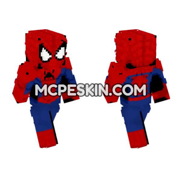 Spider-Man Suit