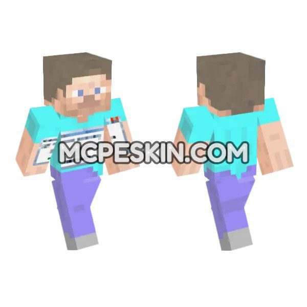 Steve Exe Stopped Working
