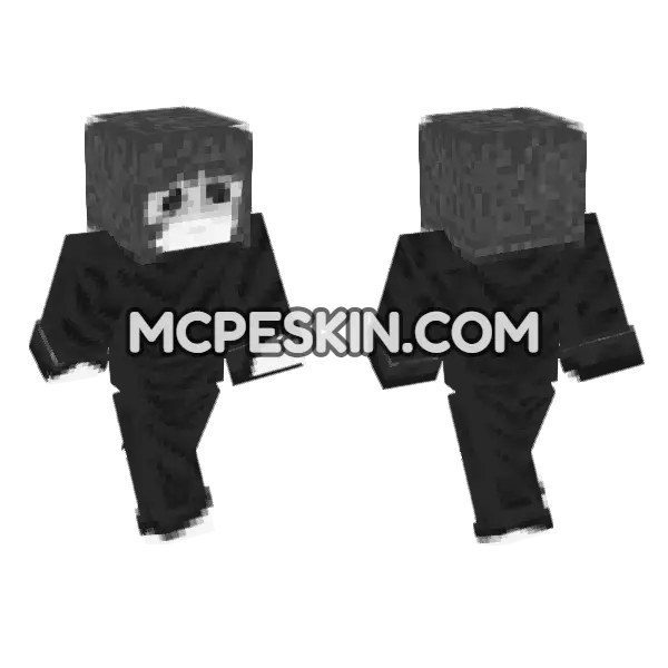 Zedin YT Skin